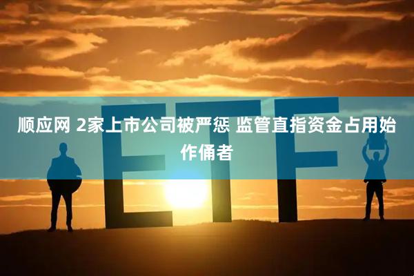 顺应网 2家上市公司被严惩 监管直指资金占用始作俑者