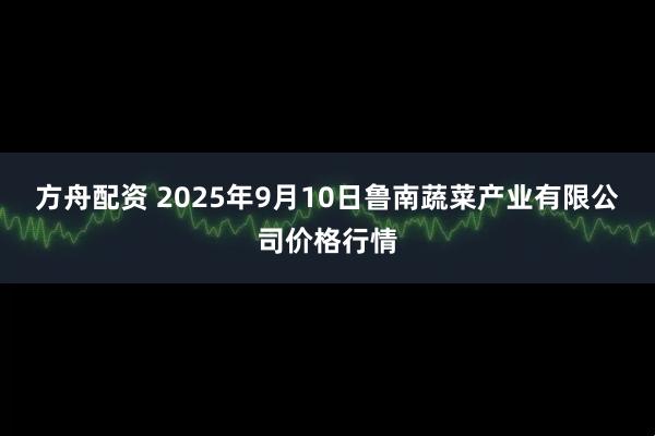 方舟配资 2025年9月10日鲁南蔬菜产业有限公司价格行情