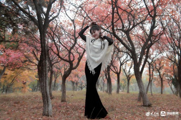 开源策略 林色与衣影共舞 - 海报新闻