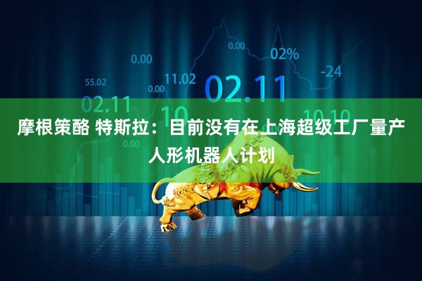 摩根策酪 特斯拉：目前没有在上海超级工厂量产人形机器人计划